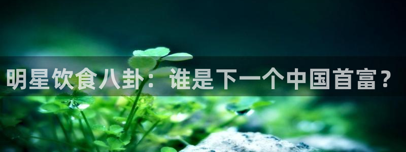 社会热点事件始末