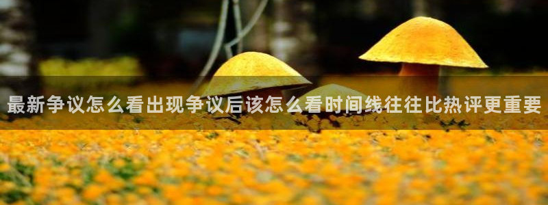 理性吃瓜事件始末