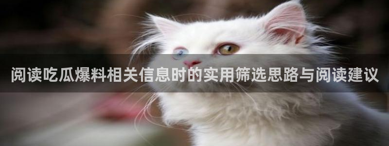吃瓜真相事件始末