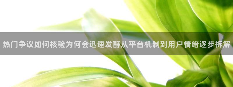 网红吃瓜热点汇总