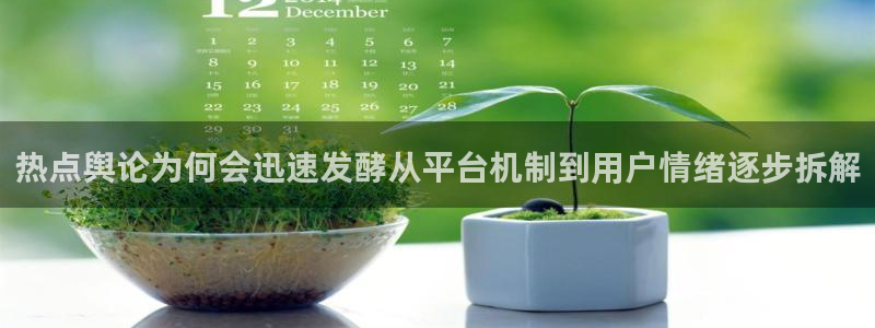 理性吃瓜公开回应
