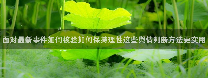 理性吃瓜最新消息